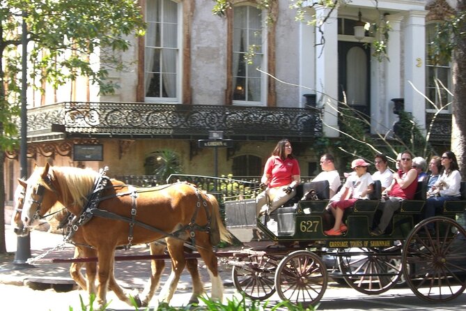 Horse Drawn Daytime Group Narrated Historic Overview Tour - Comfort, seating, and weather