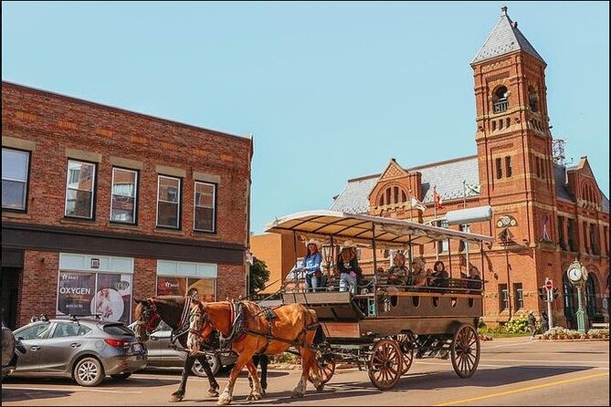 Horse Drawn Historical Guided Tour - A horse-drawn introduction to Charlottetown