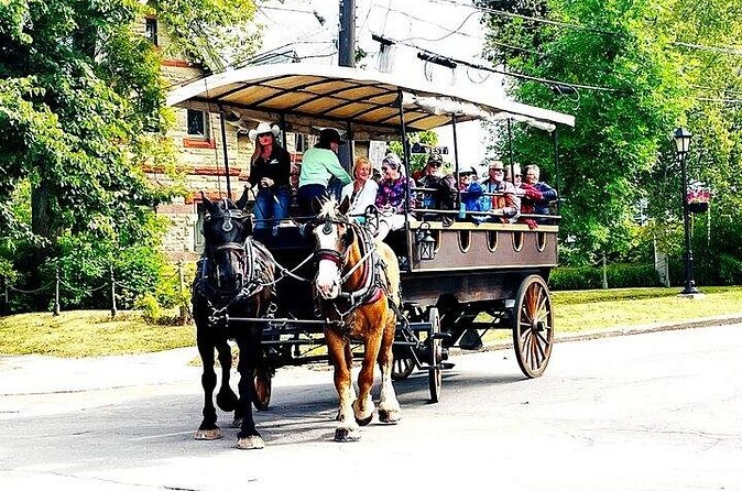 Horse Drawn Historical Guided Tour - The guides and the family-run feel