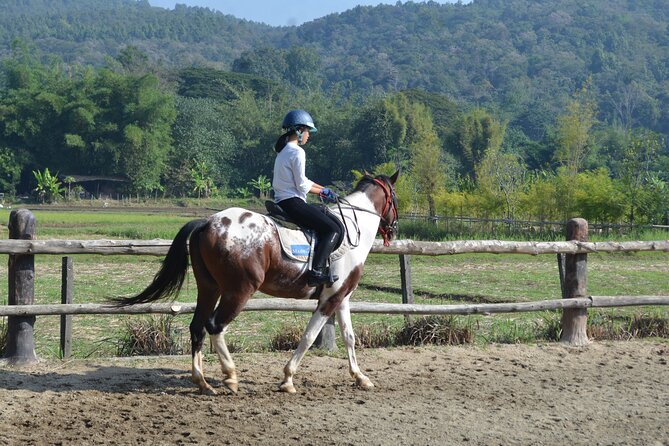 Horse Lesson+Riding+Wat Tonkwen wooden temple.Chiangmai - Key points at a glance