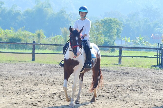 Horse Lesson+Riding+Wat Tonkwen wooden temple.Chiangmai - Who will enjoy this Chiang Mai combination