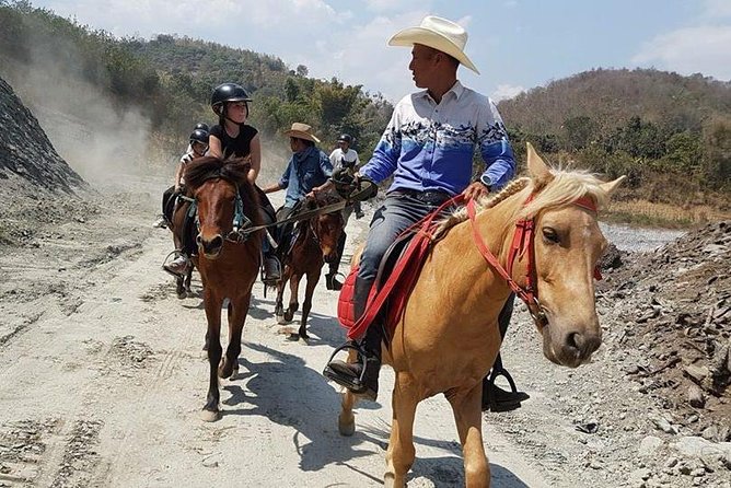 Horse Lesson+Riding+Wat Tonkwen wooden temple.Chiangmai - Lunch and the value of a four-hour outing