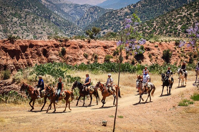 Horse Ride at the Marrakech Desert - A private ride with a personal feel
