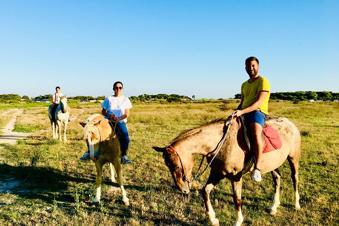 Horse ride in a Salento Nature Reserve with transfer from Lecce - Key points to know before booking
