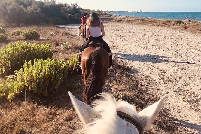 Horse ride in a Salento Nature Reserve with transfer from Lecce - Returning to the ranch and Lecce
