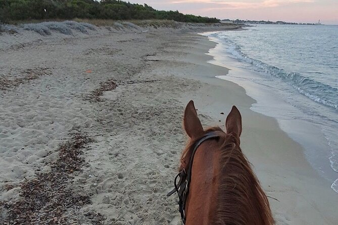 Horse ride in a Salento Nature Reserve with transfer from Lecce - Family suitability and rider comfort