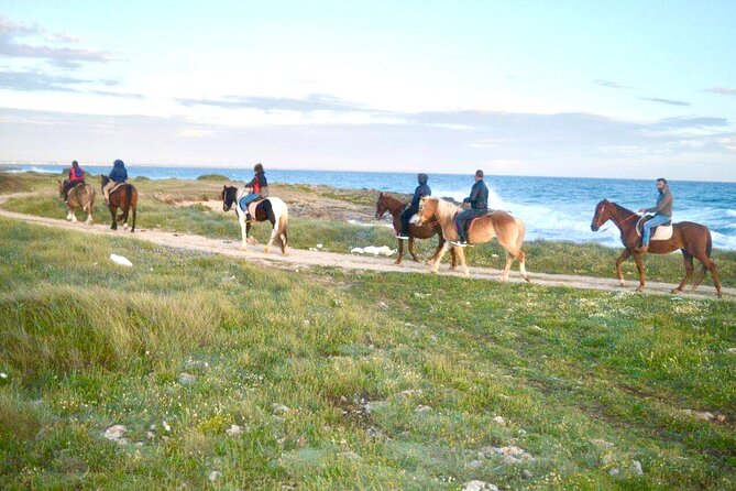 Horse ride in a Salento Nature Reserve with transfer from Lecce - Riding the park paths for about one hour
