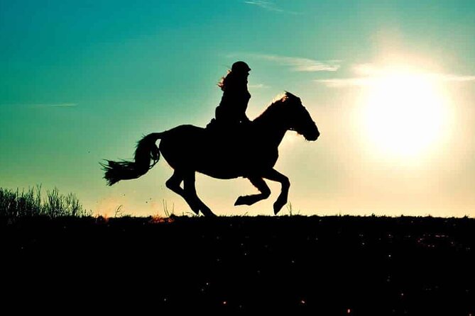 Horse Ride in Agadir & Options at Sunset & Barbecue with Couscous - A horse ride with a meal at the end