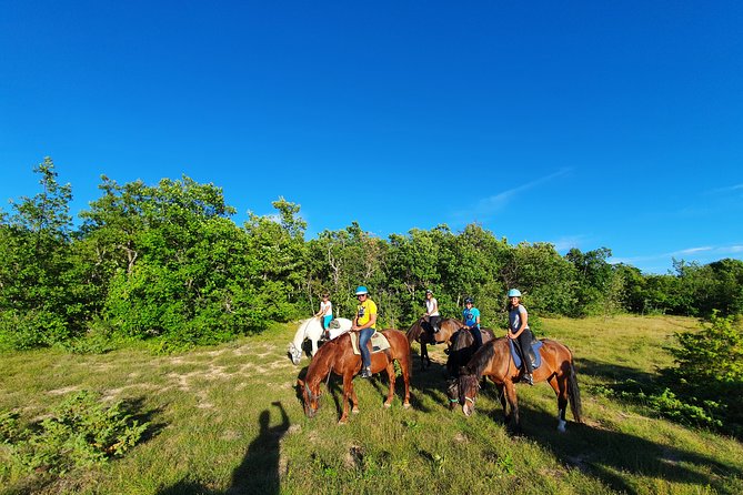 Horse ride in Haute Provence Luberon and Forcalquier - Why the small group changes the feel