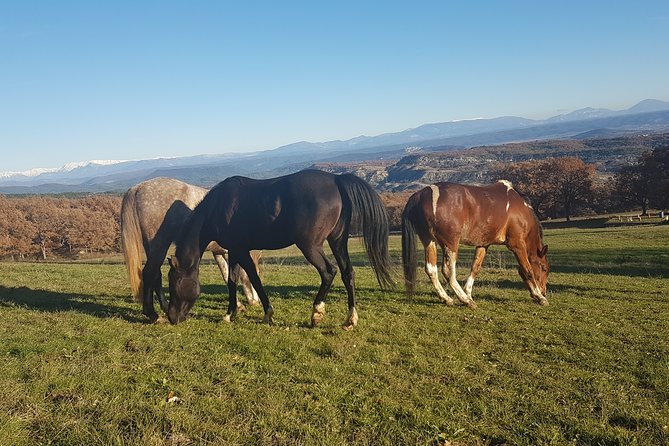 Horse ride in Haute Provence Luberon and Forcalquier - Who should book this ride?