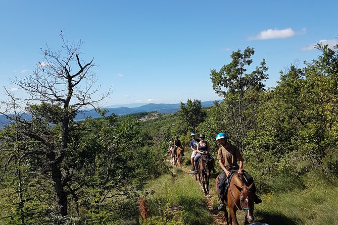 Horse ride in Haute Provence Luberon and Forcalquier - Weather, changes, and the booking window