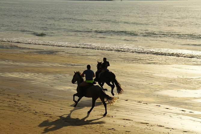 Horse Ride in Taghazout or Agadir - Key points before you book