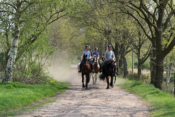 Horse Ride in Taghazout or Agadir - Who will enjoy this coastal ride?