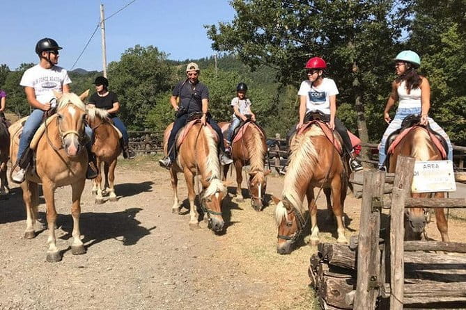 Horse ride in the Mugello (transfer from / to Florence) and Tuscan aperitif - From Florence station to the Mugello hills