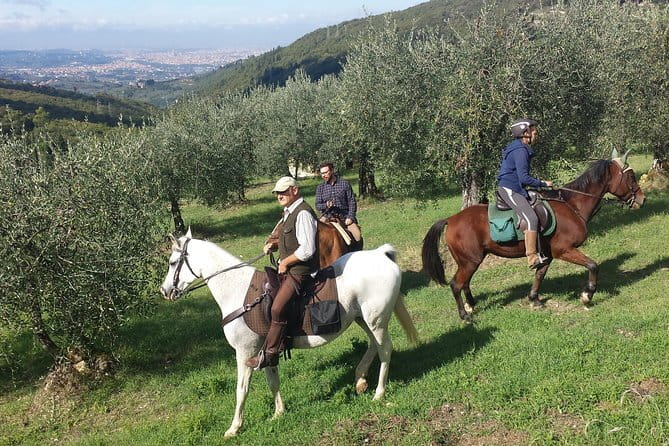 Horse ride, Olive Oil and local foods tasting in a Tuscan farm - From Florence to Reggello in a private car