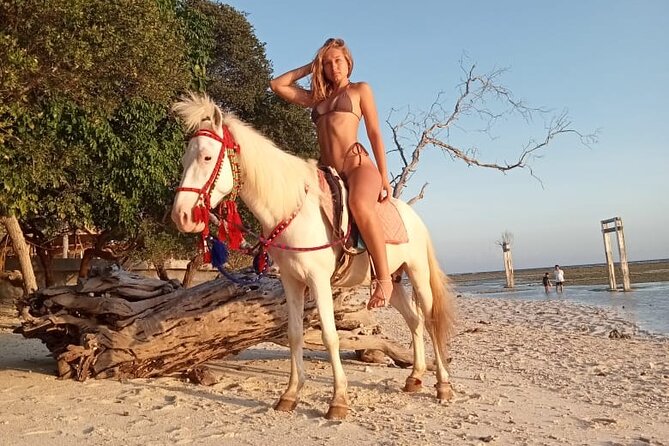 Horse Ride On The Beach Gili Islands - Key points at a glance