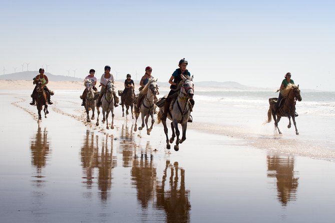 Horse Ride on the Beach in Essaouira - Key points at a glance
