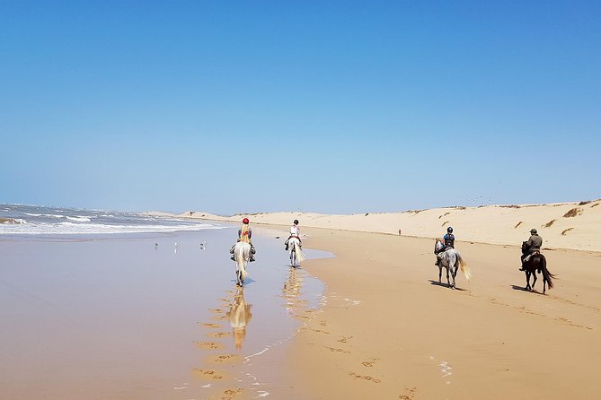 Horse Ride on the Beach in Essaouira - Through the dry forest with local animals