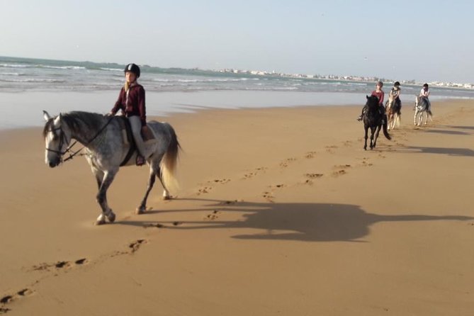 Horse Ride on the Beach in Essaouira - Timing, booking, and practical details