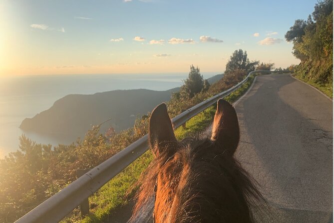 Horse ride on the coast of Monterosso al Mare Cinque Terre - Key points before you saddle up
