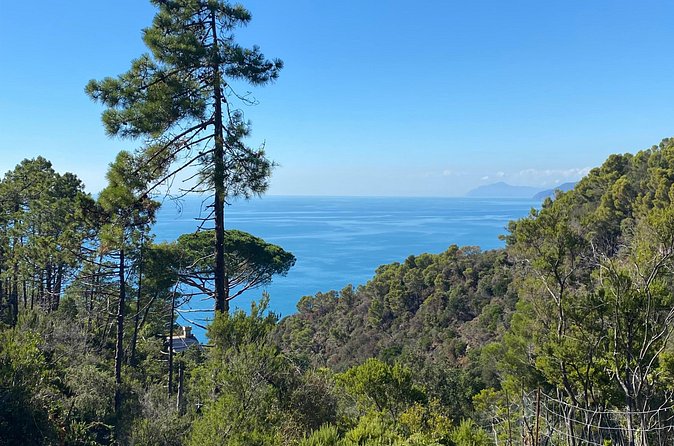 Horse ride on the coast of Monterosso al Mare Cinque Terre - What the photo stops add