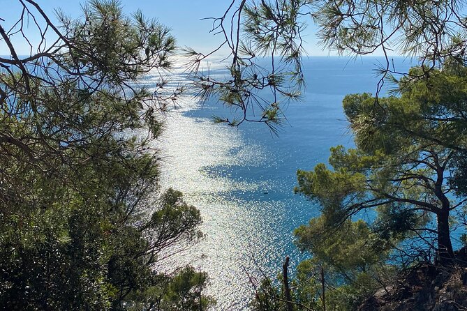 Horse ride on the coast of Monterosso al Mare Cinque Terre - Who will enjoy this ride most