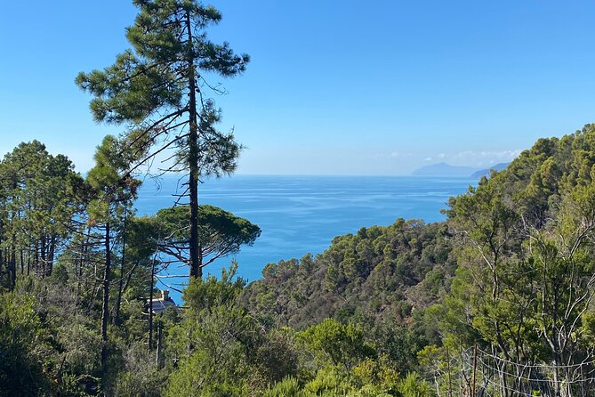Horse ride on the coast of Monterosso al Mare Cinque Terre - Timing, weather, and booking details