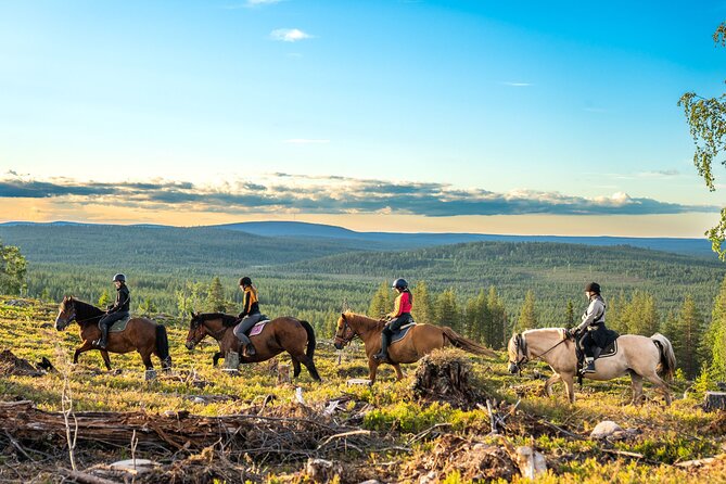 Horse Ride to the Hill Activity - Meeting the horses at Ranch Kuulas