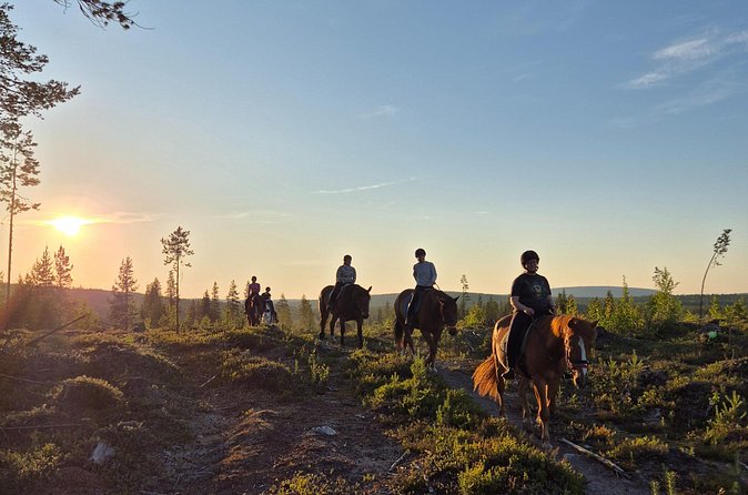 Horse Ride to the Hill Activity - Calm horses and careful matching