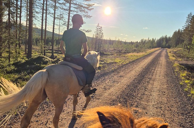 Horse Ride to the Hill Activity - What the $138.34 price includes