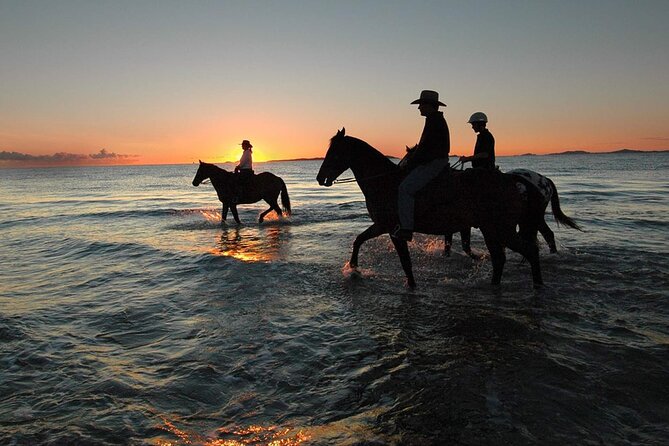 Horse Ride Trip , Bedouin Dinner And Show - Sharm El Sheikh - Key points to know before booking