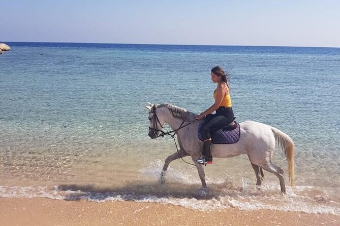 Horse Ride Trip , Bedouin Dinner And Show - Sharm El Sheikh - Two hours on horseback in the Egyptian desert