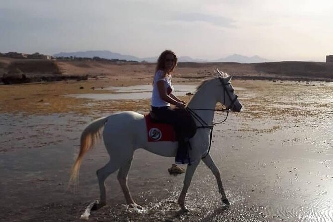 Horse Ride Trip , Bedouin Dinner And Show - Sharm El Sheikh - Desert air, beach riding, and a slower pace