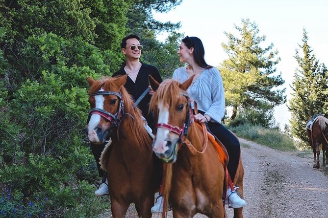 Horse Ride with Mountain Views - Calm horses and patient help for beginners