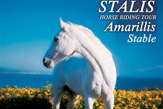 HORSE RIDING 1.5 hours mountains from area Hersonissos CRETE - From Hersonissos mountain paths to the Cretan coast
