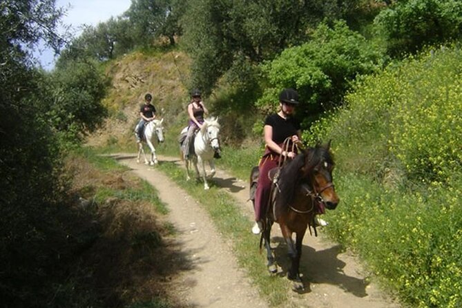 HORSE RIDING 1.5 hours mountains from area Hersonissos CRETE - Meeting the horses and getting ready