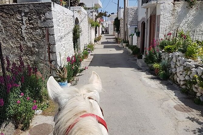 HORSE RIDING 1.5 hours mountains from area Hersonissos CRETE - Pickup, timing, and weather