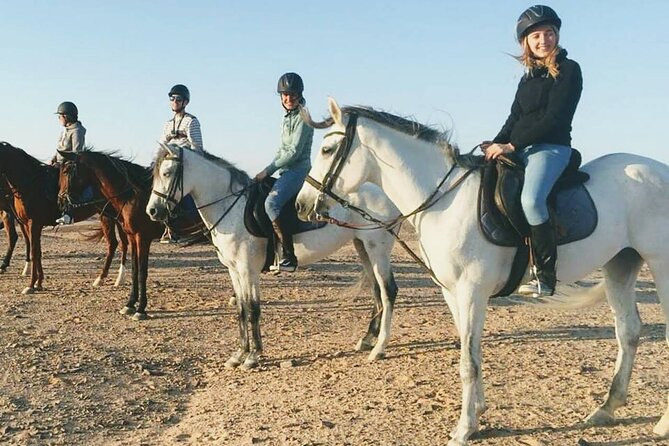 Horse Riding 1-Hour Adventure Trip With Transfer - Hurghada - Key points at a glance