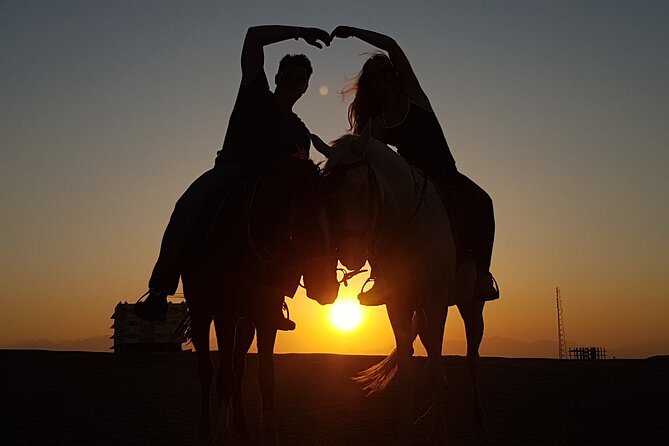 Horse Riding 1-Hour Adventure Trip With Transfer - Hurghada - Hotel pickup keeps the outing simple