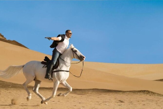 Horse Riding 1-Hour Adventure Trip With Transfer - Hurghada - Arrival, welcome drink, and getting ready