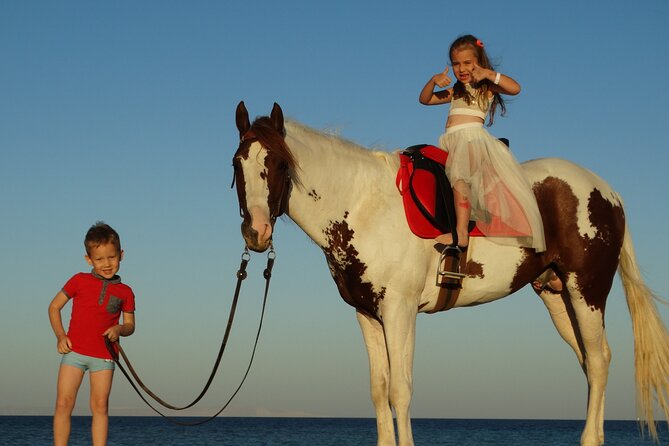 Horse Riding 2 Hours & Relaxation Turkish Bath & Sauna - Hurghada - From Hurghada pickup to the horse yard