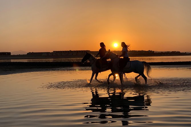 Horse Riding 3 Hours Beach, Desert, & Swimming By Horse in red sea - Hurghada - Three hours from desert tracks to Red Sea water