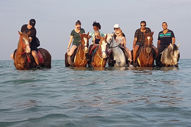 Horse Riding 3 Hours Beach, Desert, & Swimming By Horse in red sea - Hurghada - The desert hour: a gentle start with room to ride