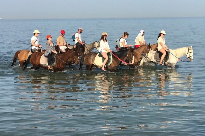 Horse Riding 3 Hours Desert Beach Swimming by horse in Hurghada - Key points before you book