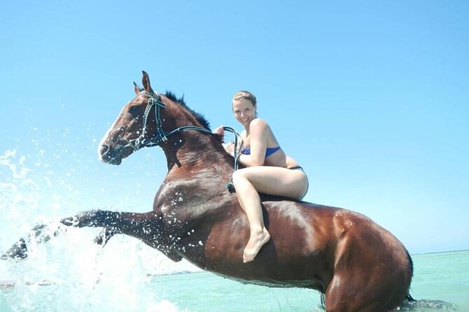 Horse Riding 3 Hours Desert Beach Swimming by horse in Hurghada - From your Hurghada hotel to the stable