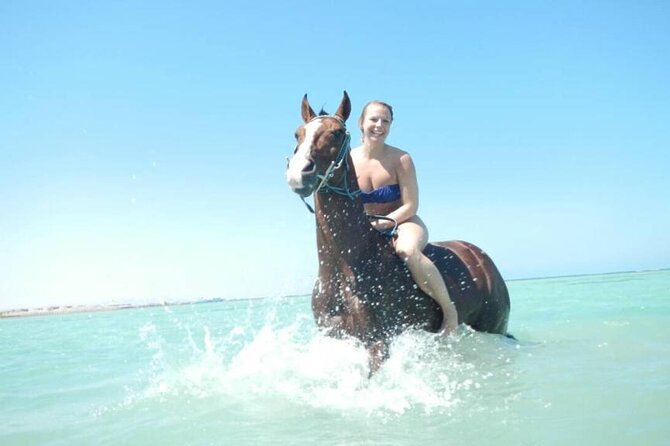 Horse Riding 3 Hours Desert Beach Swimming by horse in Hurghada - Riding across the Hurghada desert