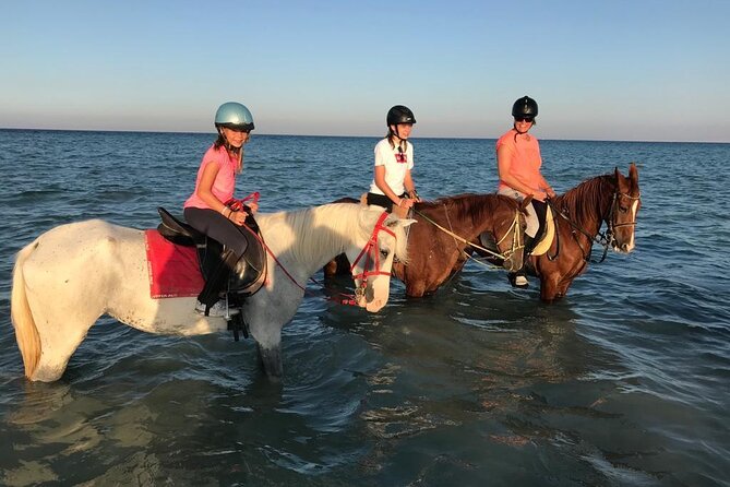 Horse Riding 3 Hours Desert Beach Swimming by horse in Hurghada - Sunset return, music, and the end of the outing