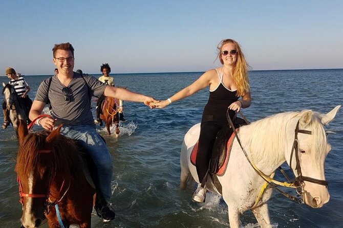 Horse Riding Adventure 2 hours sea and Desert - Hurghada - Two hours between Hurghada’s sand and sea
