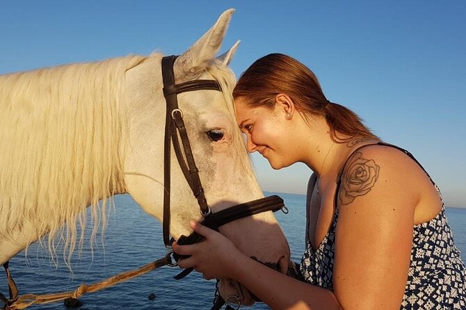 Horse Riding Adventure 2 hours sea and Desert - Hurghada - Horse welfare deserves your attention