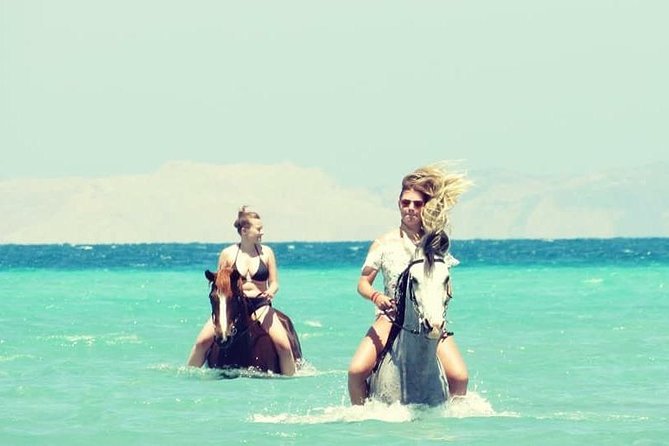 Horse Riding Adventure 2 hours sea and Desert - Hurghada - How the transfer affects the value